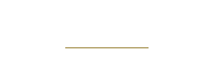 light logo