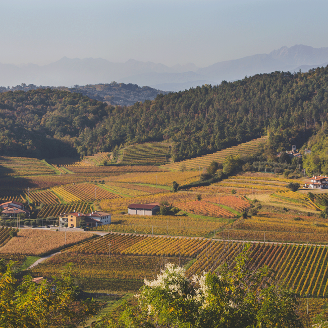 Vigna-Lenuzza-16.10.17---80